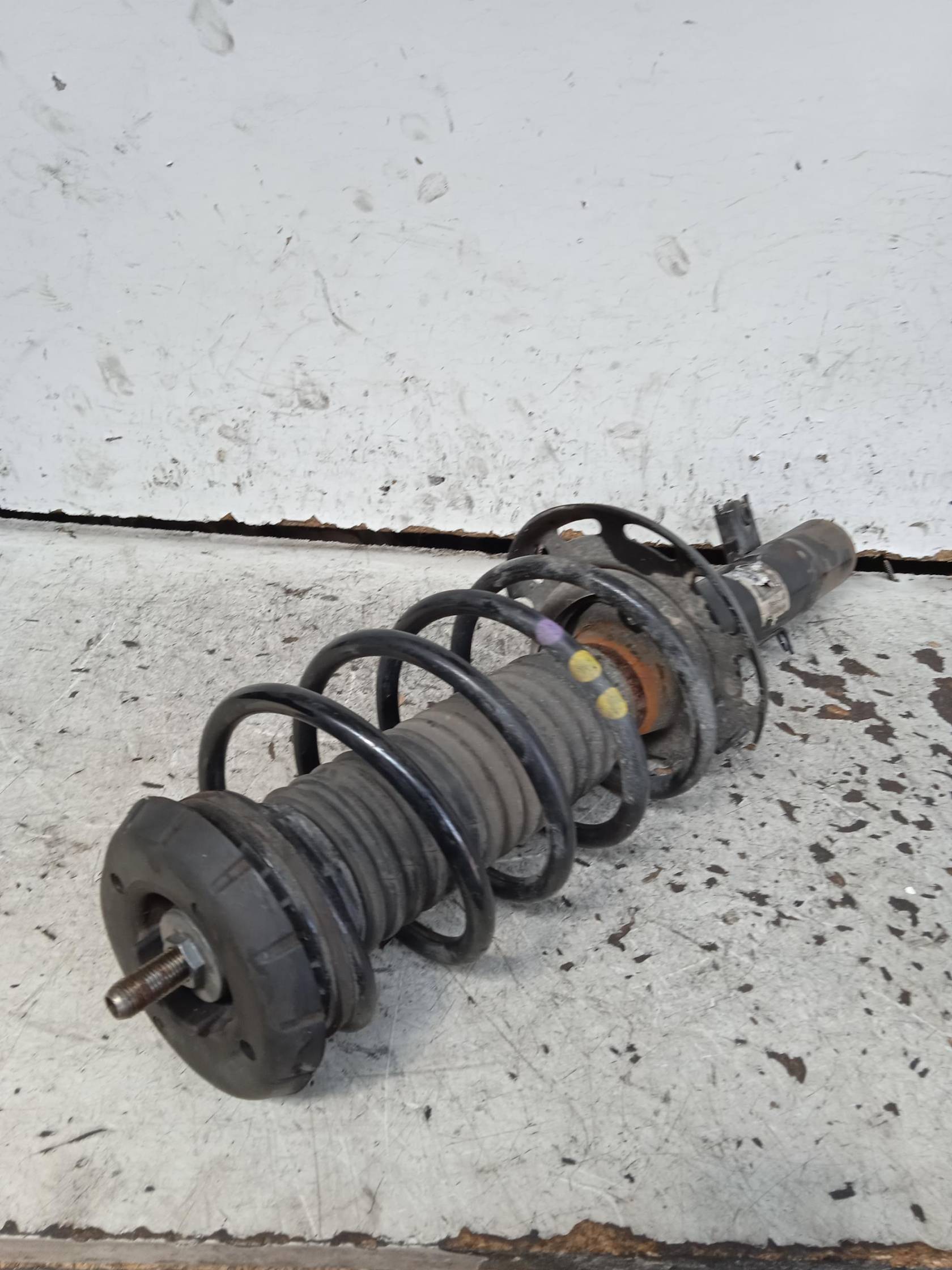 Ammortizzatore ant. sx.